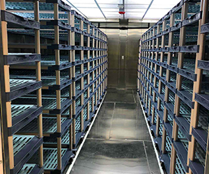 Environmental Room Gallery Environmental Room Gallery